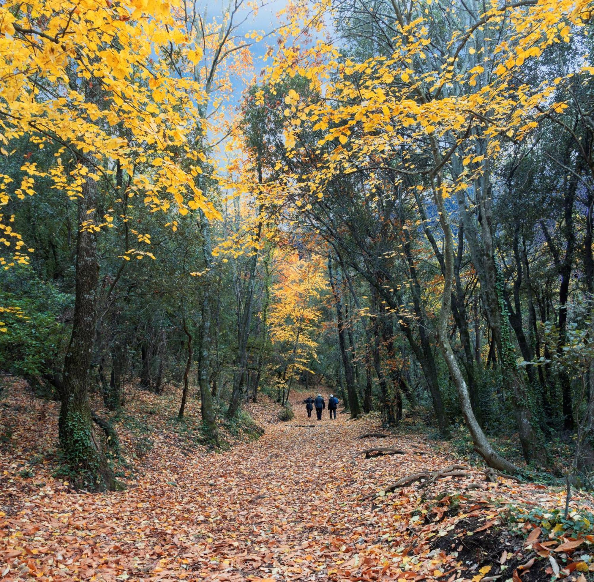 Corro de Vall Rincon De Piedra Bcn酒店 外观 照片
